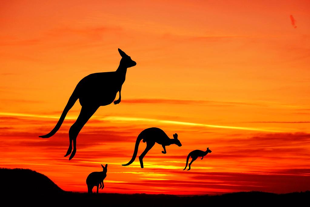 澳大利亚签证办理需要多长时间？